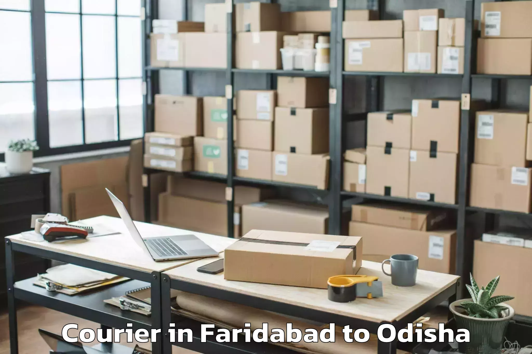 Leading Faridabad to Belpara Courier Provider